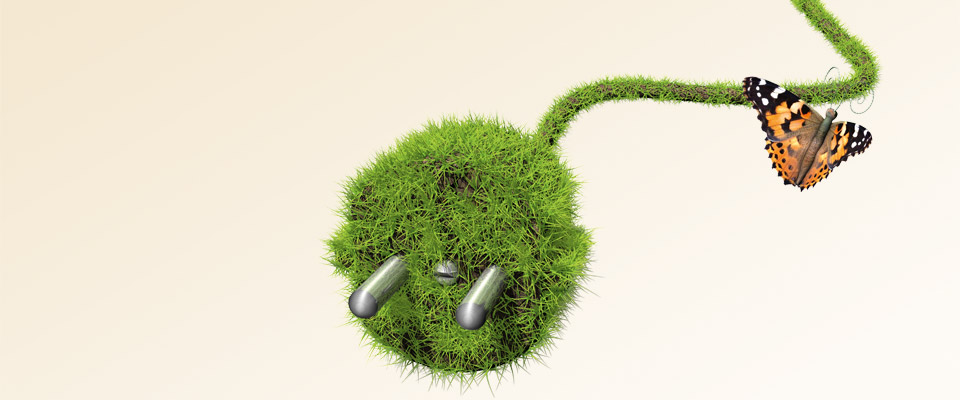 Erneuerbare Energien